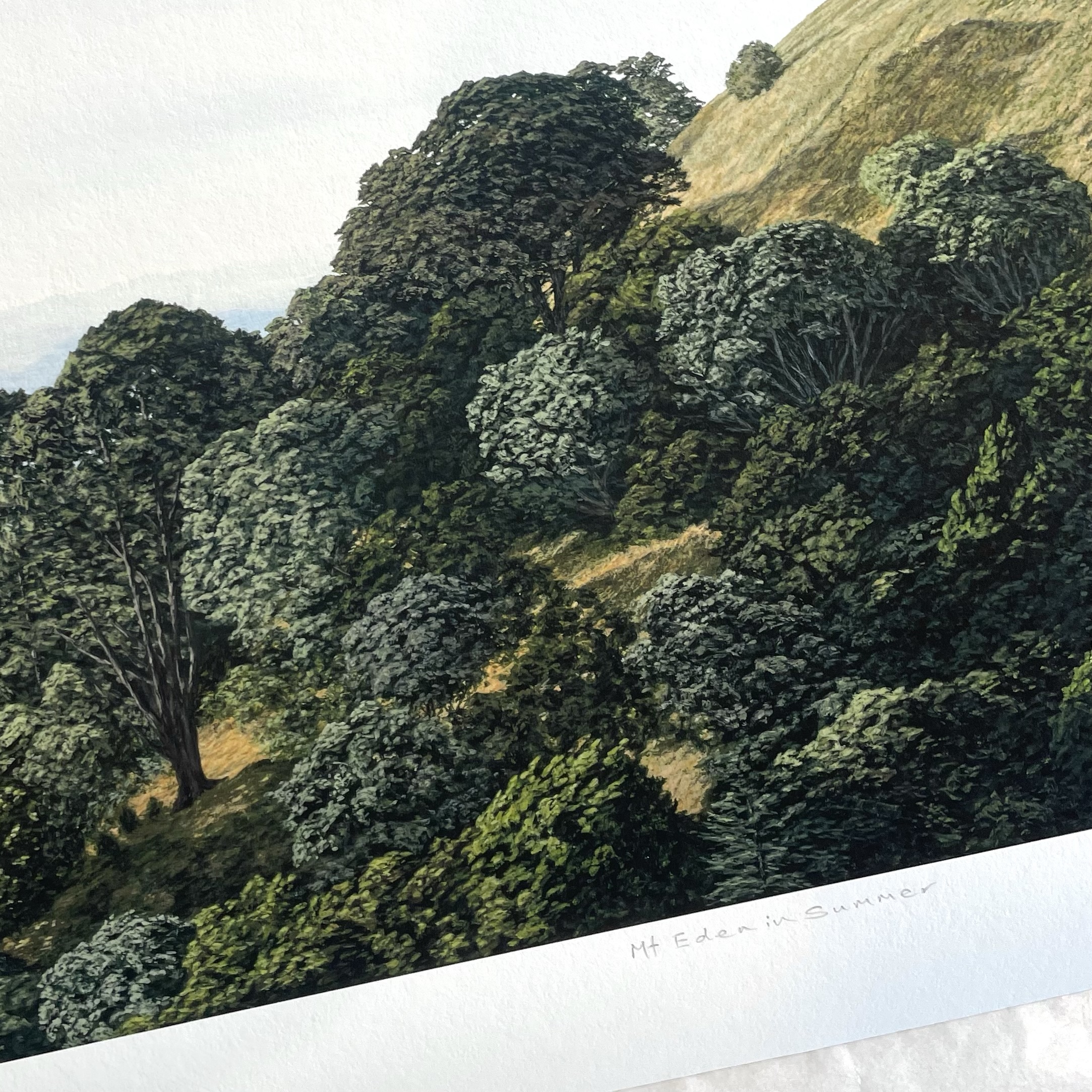 Mt Eden In Summer - Image 3