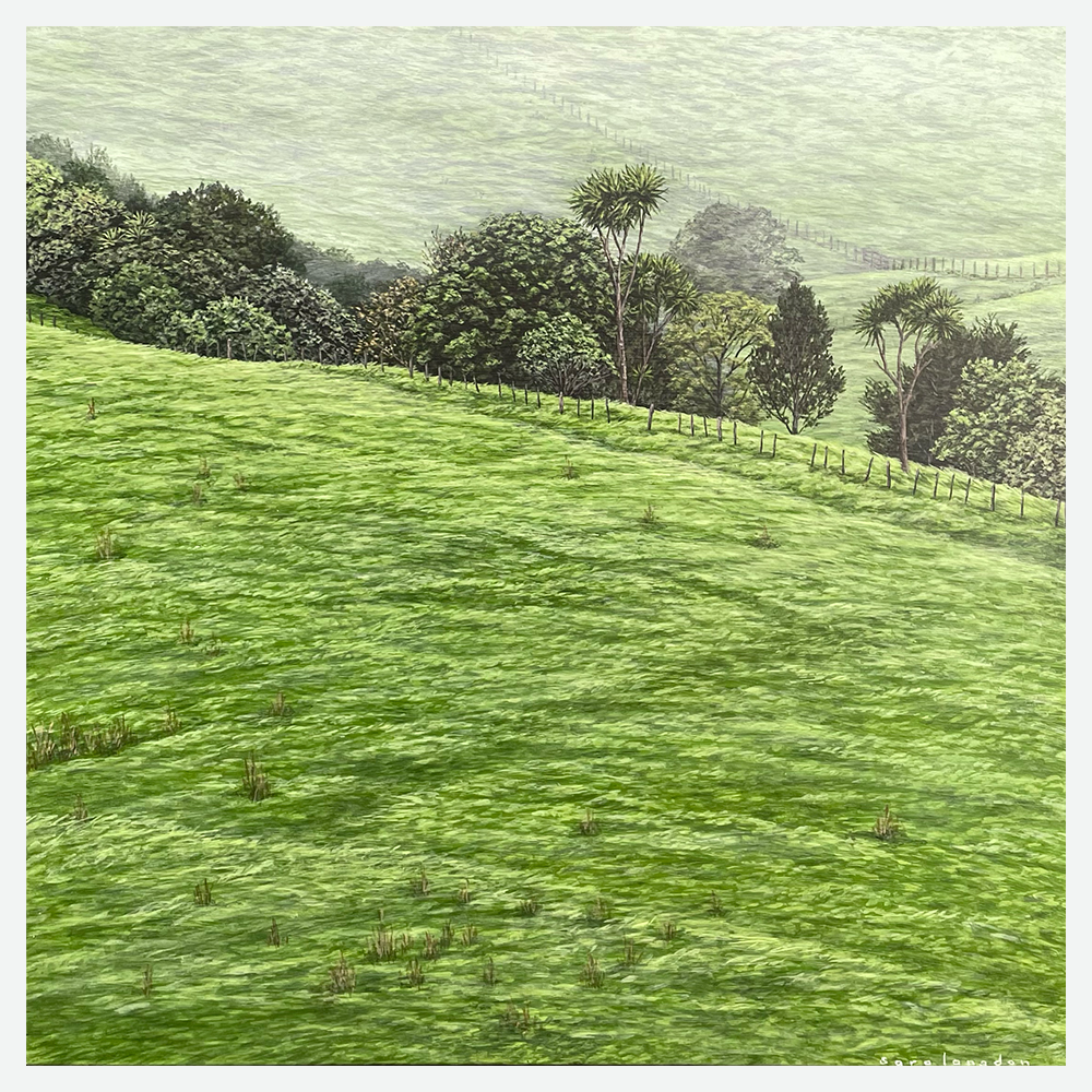 NEW Back Blocks - Image 3