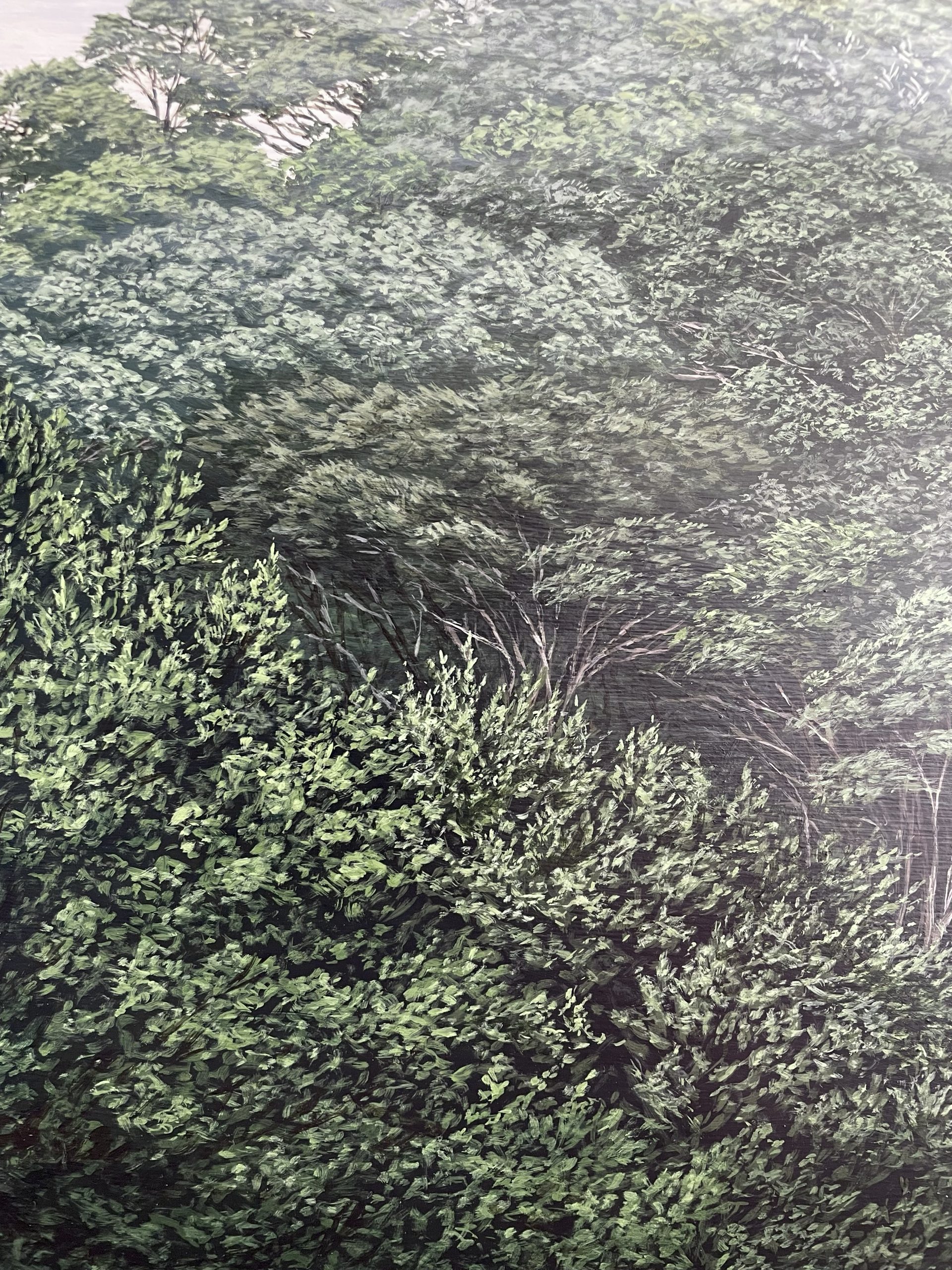 NEW O te Ngahere III - Image 2