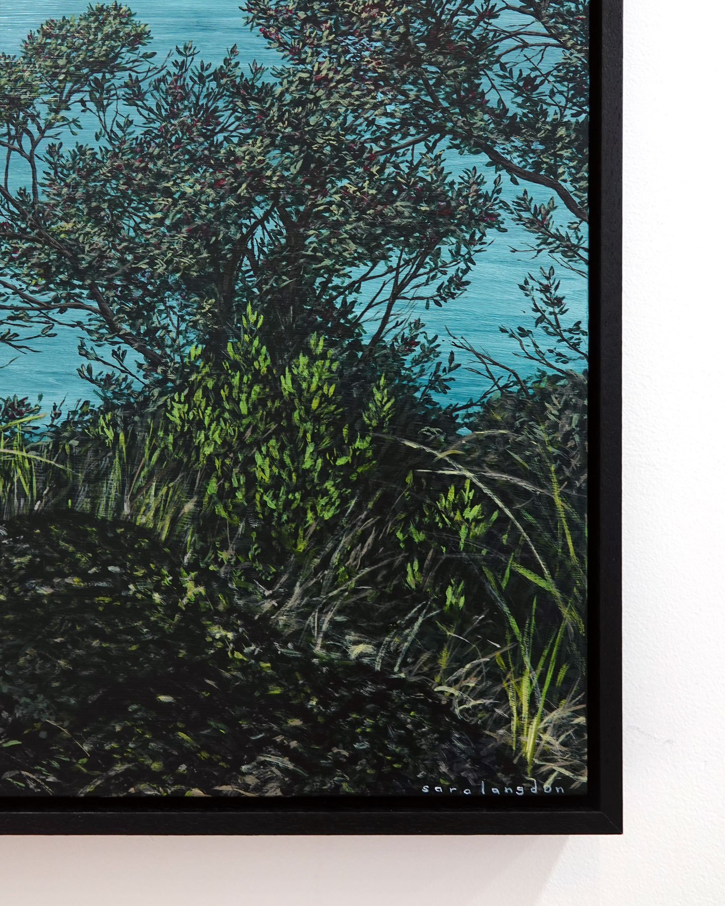 First Day of Summer on Rangitoto - Image 3