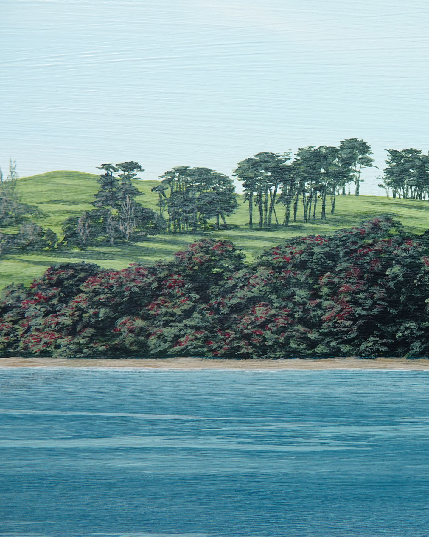 First Day of Summer on Rangitoto - Image 4
