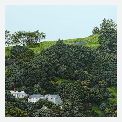 The Way the Land Lies II (Mt Eden)